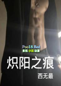 炽阳之痕小说类型介绍